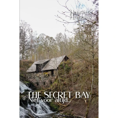 Afbeelding van The Secret Bay 3 Niet voor altijd...