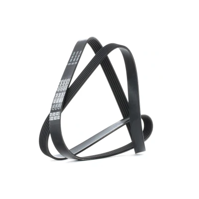 Afbeelding van Poly V riem DAYCO 6PK1558