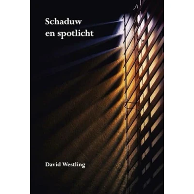 Afbeelding van Schaduw en spotlicht