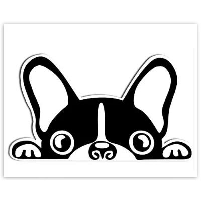 Afbeelding van Skino Eu® 1 x sticker vinyl hond Franse buldog auto vrachtwagen raam deur motorfiets fiets B 88