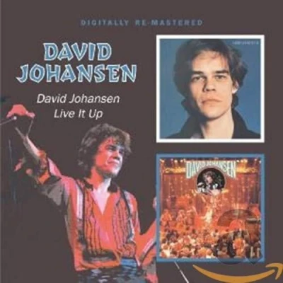 Afbeelding van David Johansen / Live It Up
