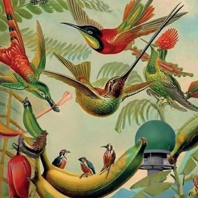 Afbeelding van Various Artists Radar Keroxen Vol. 4 (LP)