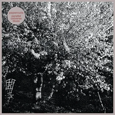 Afbeelding van Papercuts Parallel Universe Blues (LP)