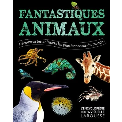 Afbeelding van ISBN 9782035904812 boek Encyclopedie Frans 2 pagina&#039;s