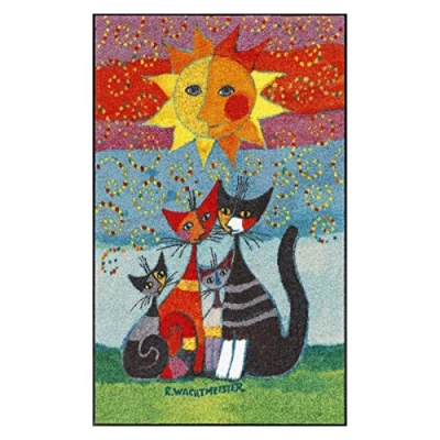 Afbeelding van Salonloewe Rosina Wachtmeister Momenti Deurmat, wasbaar, 75 x 120 cm, meerkleurig