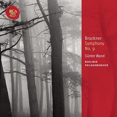 Afbeelding van Symphony No 9