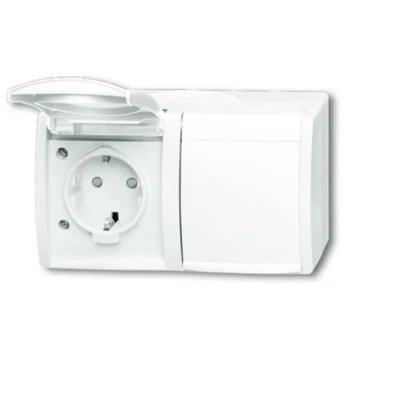 Afbeelding van ABB Busch Jaeger opbouw wandcontactdoos 2v ip 44 (2CKA002084A0723)