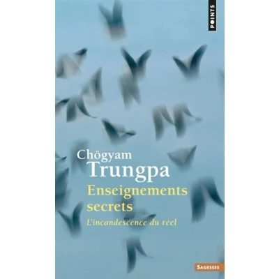Image de Enseignements secrets