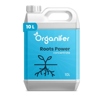 Afbeelding van Organifer Wortelstimulator Roots Power Concentraat 10 liter