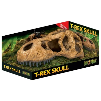 Afbeelding van Exo Terra T Rex schedel