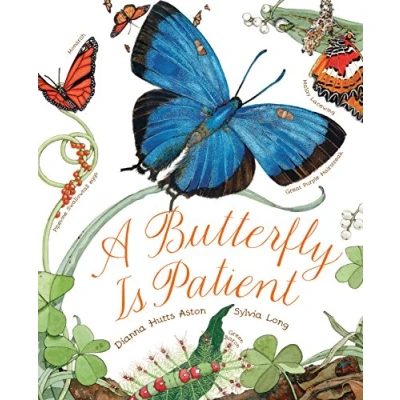 Afbeelding van Butterfly Is Patient