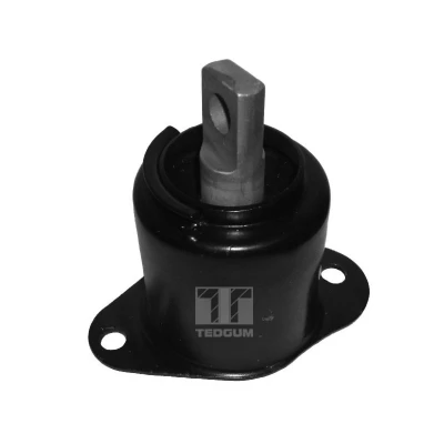 Afbeelding van TEDGUM 00260934 Houder, motorophanging Rechts voor