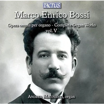Afbeelding van Andrea Macinanti Opera Omnia Per Organo Volume V (CD)