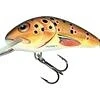 Image de Salmo Hornet Coullant 4cm 4g Kleur : Trout