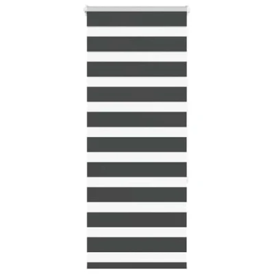 Afbeelding van vidaXL Zebra rolgordijn 60x150 cm stofbreedte zwart 55,9