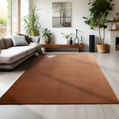 Afbeelding van Carpettex Teppich Vloerkleed voor de woonkamer, antislip, machinewasbaar, 240 x 340 cm, bruin, modern pluizig, laagpolig, slaapkamer, keuken, hal, eetkamer, slaapkamer