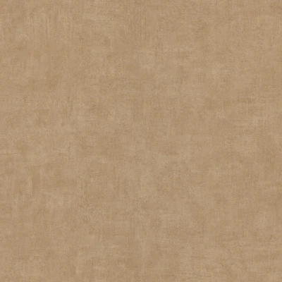 Afbeelding van Dutch Wallcoverings Asperia Annabel uni lichtbruin vliesbehang 10m x 53cm A51520