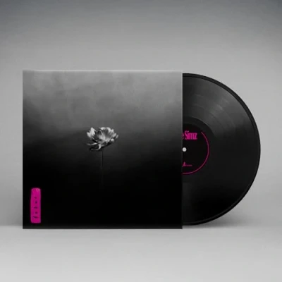 Afbeelding van Little Simz Lotus (2 LPs)