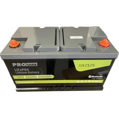 Afbeelding van Enduro Lithium Ion accu LI12125