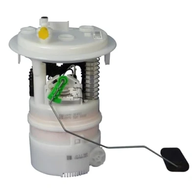 Afbeelding van DELPHI FG1095 12B1 Brandstoftoevoereenheid Zonder pakking druksensor Benzine