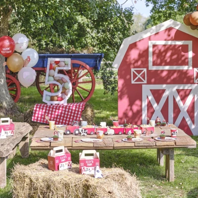 Afbeelding van Op De Boerderij Ballonnen 5 stuks
