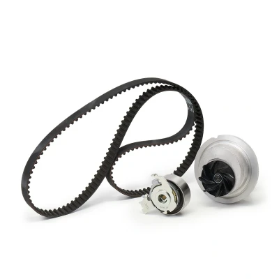 Afbeelding van Ina Distributieriem kit incl.waterpomp 530 0441 30