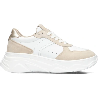 Afbeelding van Hip LAGE Sneakers laag voor kinderen, Maat: 36, Beige combi Schoenen