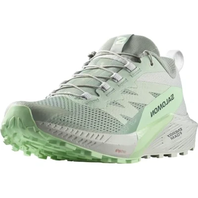 Afbeelding van Salomon Sense RIDE 5 Trail hardloopschoenen, Dames, Maat: 36, Pad/metal/green ash Textiel/ synthetisch