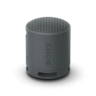 Image de Sony SRS XB100 Noir