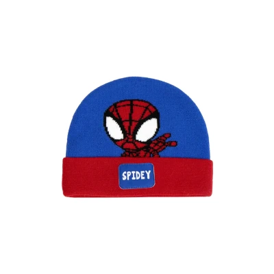 Afbeelding van Disney Spidey Muts voor kinderen, Maat: One Size, Multi coloured