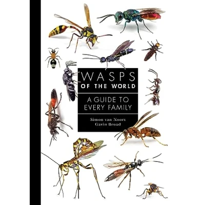 Afbeelding van A Guide to Every Family Wasps of the World