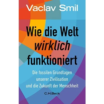 Afbeelding van Wie die Welt wirklich funktioniert