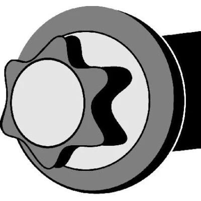 Afbeelding van CORTECO 016744B Cilinderkopbouten Buiten Torx 12 OPEL: Corsa D Hatchback, C Meriva A