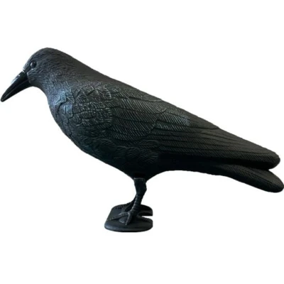 Afbeelding van SuperFish Deco Vogel Kraai