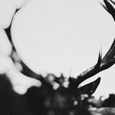 Afbeelding van Ihsahn (2 LPs)