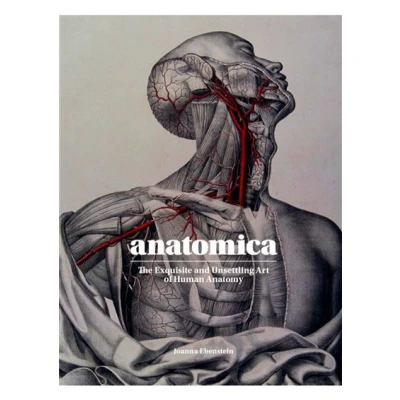 Image de Anatomica