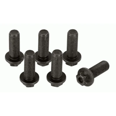 Afbeelding van Schroevenset, vliegwiel SACHS 1874 000 045