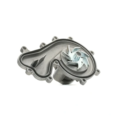 Afbeelding van Ina Waterpomp 538 0365 10