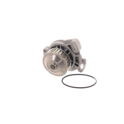 Afbeelding van Skf Waterpomp VKPC 81605