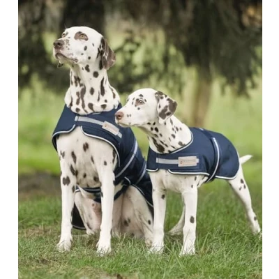 Afbeelding van Waldhausen Hondenregendeken Navy 65cm