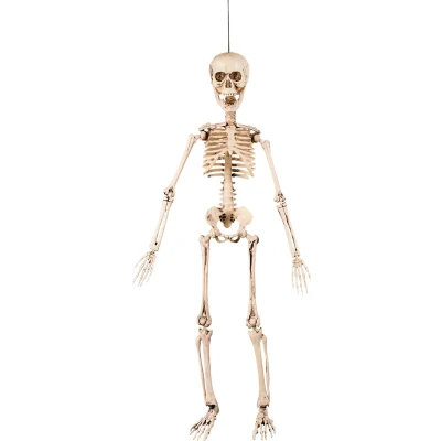 Afbeelding van Boland Decoratie Beweegbaar skelet (50 cm) Horror