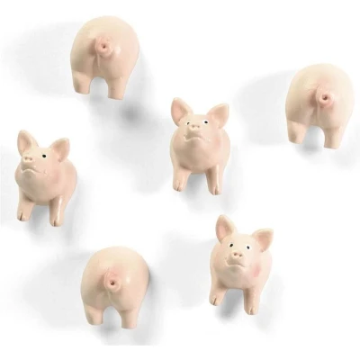 Afbeelding van Trendform Magnetisch Varkentje set van 6 stuks