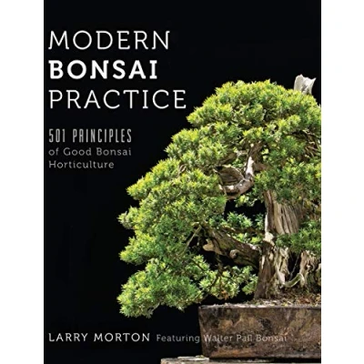 Afbeelding van Modern Bonsai Practice