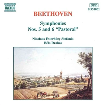 Afbeelding van Nicolaus Esterhazy Sinfonia Symphonies Nos. 5 &amp; 6 (CD)
