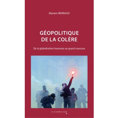 Image de Géopolitique de la colère