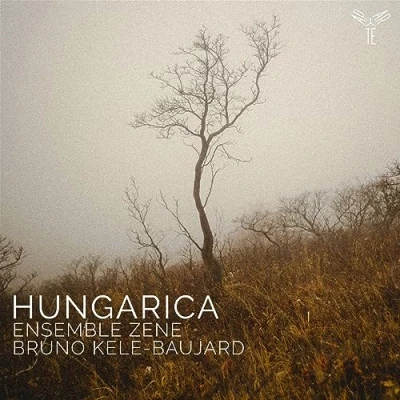 Afbeelding van Ensemble Zene &amp; Bruno Kele Baujard Hungarica (Kodaly Bartok Ligeti) (CD)