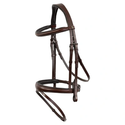 Image de BR Bridle Credition