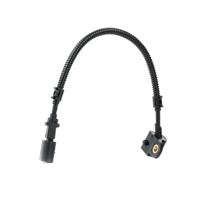 Afbeelding van Nokkenassensor DELPHI SS10964