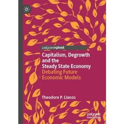 Afbeelding van Palgrave Insights into Apocalypse Economics Capitalism, Degrowth and the Steady State Economy