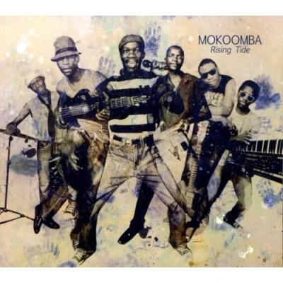 Afbeelding van Mokoomba Rising Tide (12 CD)
